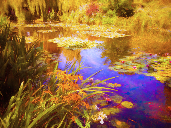 Giverny Waterlilies from Helen White