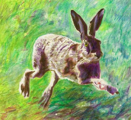 Joyful hare