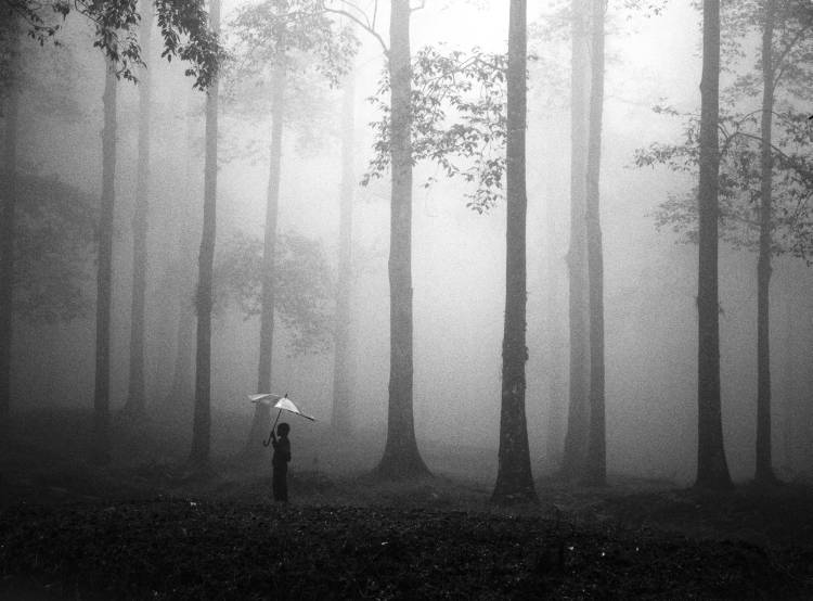 After The Rain from Hengki Lee