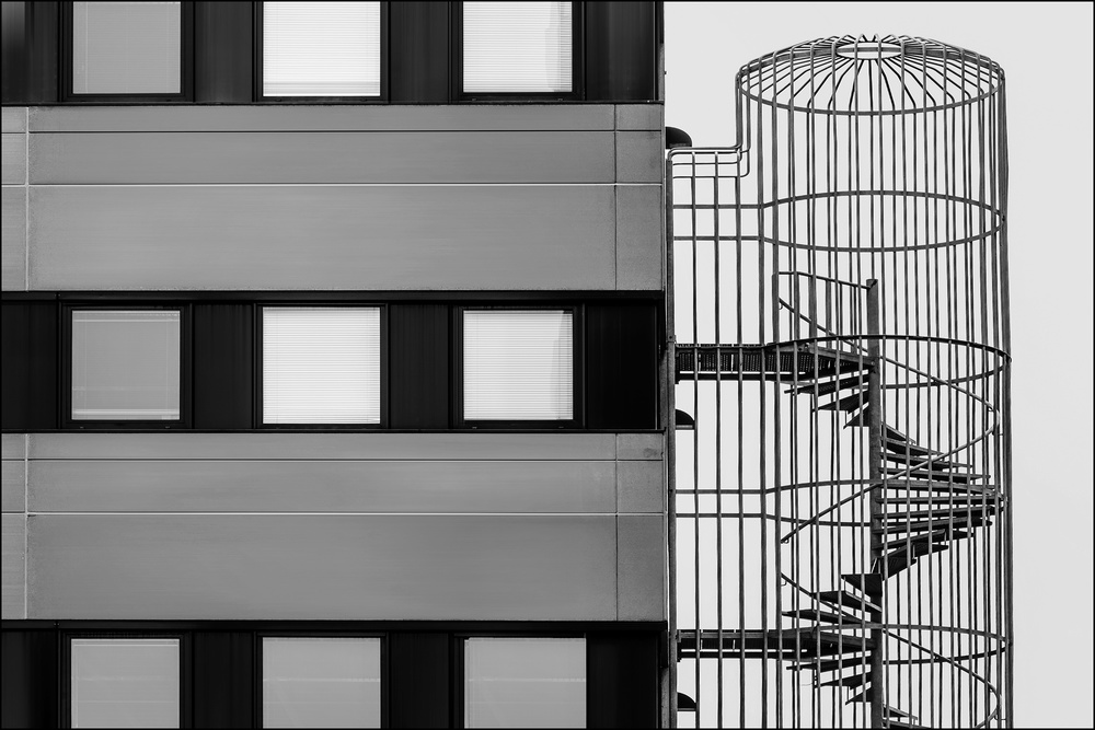 Caged with a way out from Henk Van Maastricht
