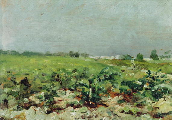 Celeyran, View of the Vineyard, 1880 (oil on canvas) from Henri de Toulouse-Lautrec