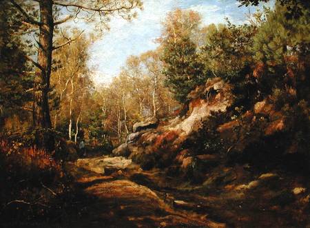 Pines and Birch Trees or, The Forest of Fontainebleau from Henri Joseph Constant Dutilleux
