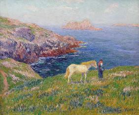 Farmer with horse at the coast of Ouessant.