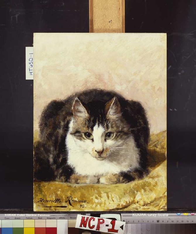 Brave Katze from Henrietta Ronner-Knip