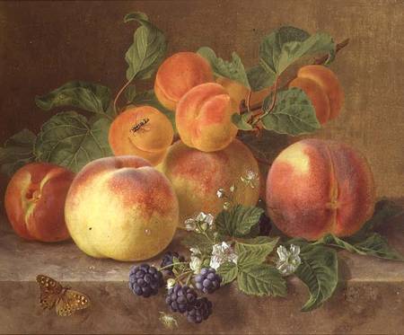 Still Life of Peaches from Henrietta Ronner-Knip
