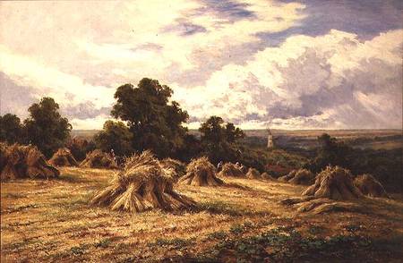 Harvested Field from Henry Parker