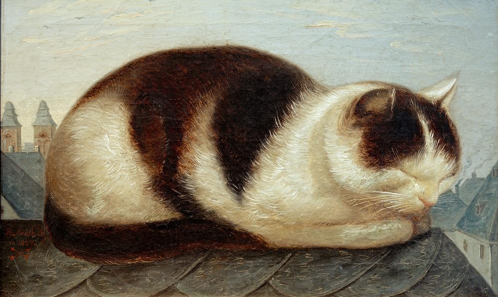 Katze from Hermann Anschütz
