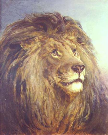 A Lion's Head from Heywood Hardy