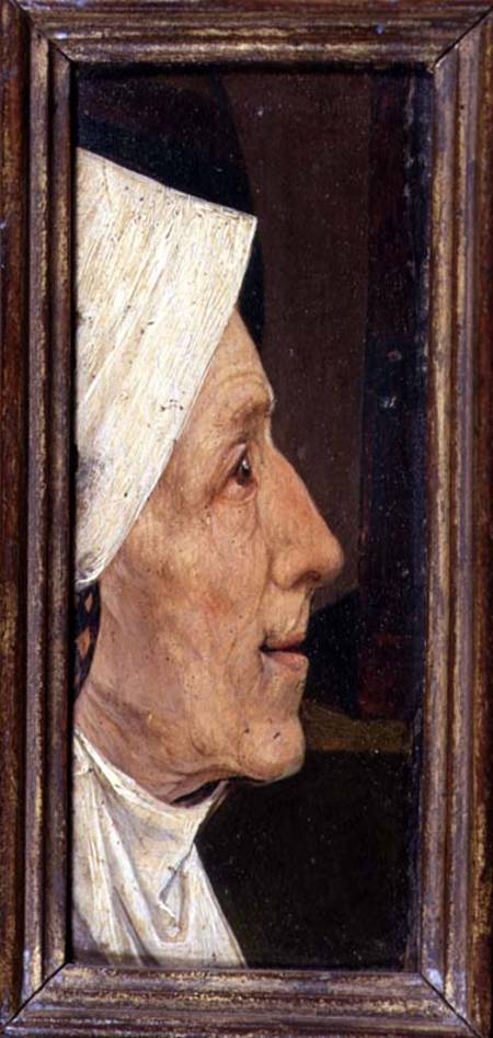 Head of an Old Woman from Hieronymus Bosch