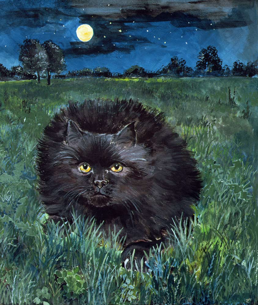 The Cat and the Moon (acrylic on paper)  from Hilary  Jones