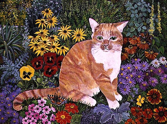 The Carpenter''s Cat  from Hilary  Jones