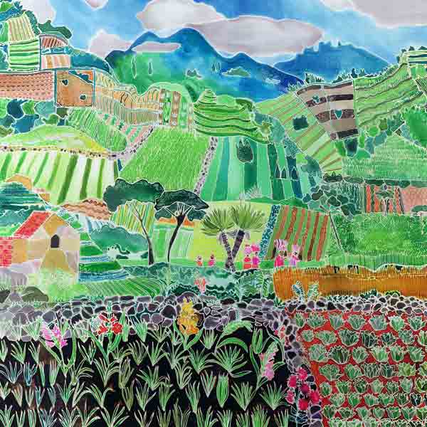 Cabbages and Lilies, Solola Region, Guatemala, 1993 (coloured inks on silk)  from Hilary  Simon