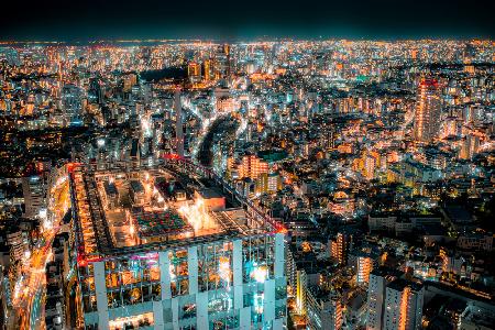 Tokyo Luxury Night View
