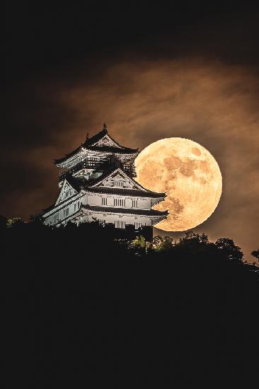 Moon castle
