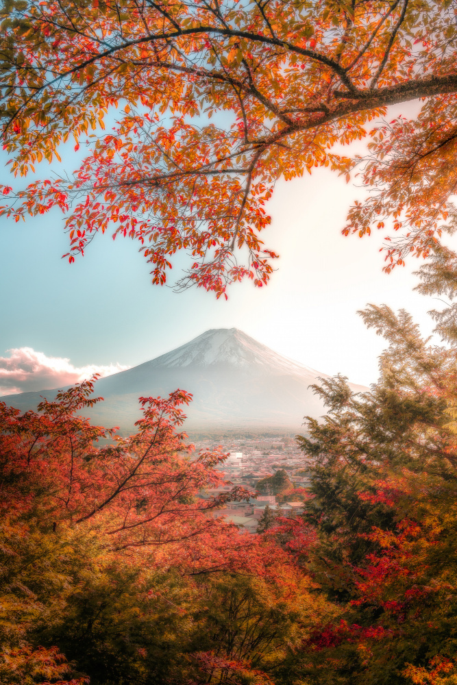 Beautiful Autumn in Japan from まちゅばら/Hiroki Matsubara