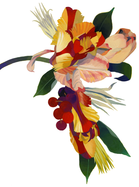 Tulip parrot1 from Hiroyuki Izutsu