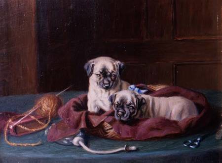 Pug Puppies in a Basket (panel) from Horatio Henry Couldery