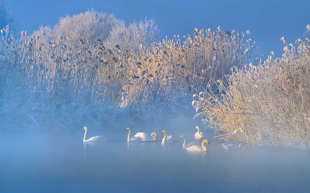 Blue Swan Lake from Hua Zhu