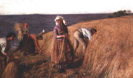 The Harvest from Hugh Cameron