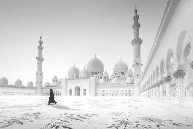 Sheikh Zayed Mosque