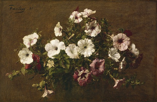 Petunias from Ignace Henri Jean Fantin-Latour