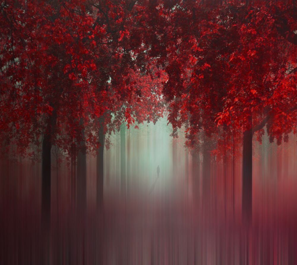 Out of Love from Ildiko Neer