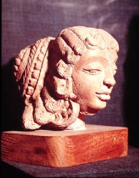 Female Head, from Ahichhatra, Uttar Pradesh