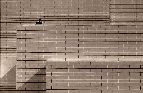 Man behind a wall
