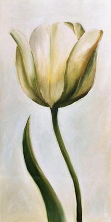 White tulip 1 from Ingeborg Kuhn