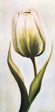 White tulip 2 from Ingeborg Kuhn