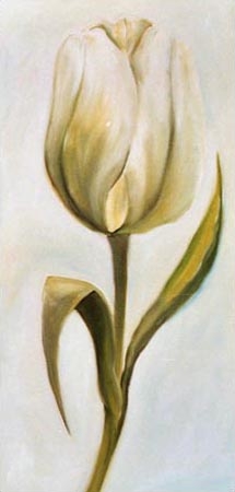 White tulip 3 from Ingeborg Kuhn