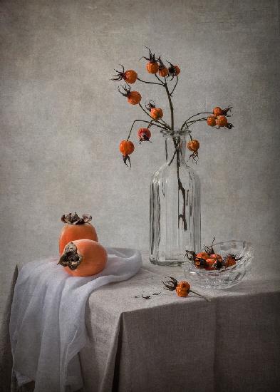Rosehips and Persimmons