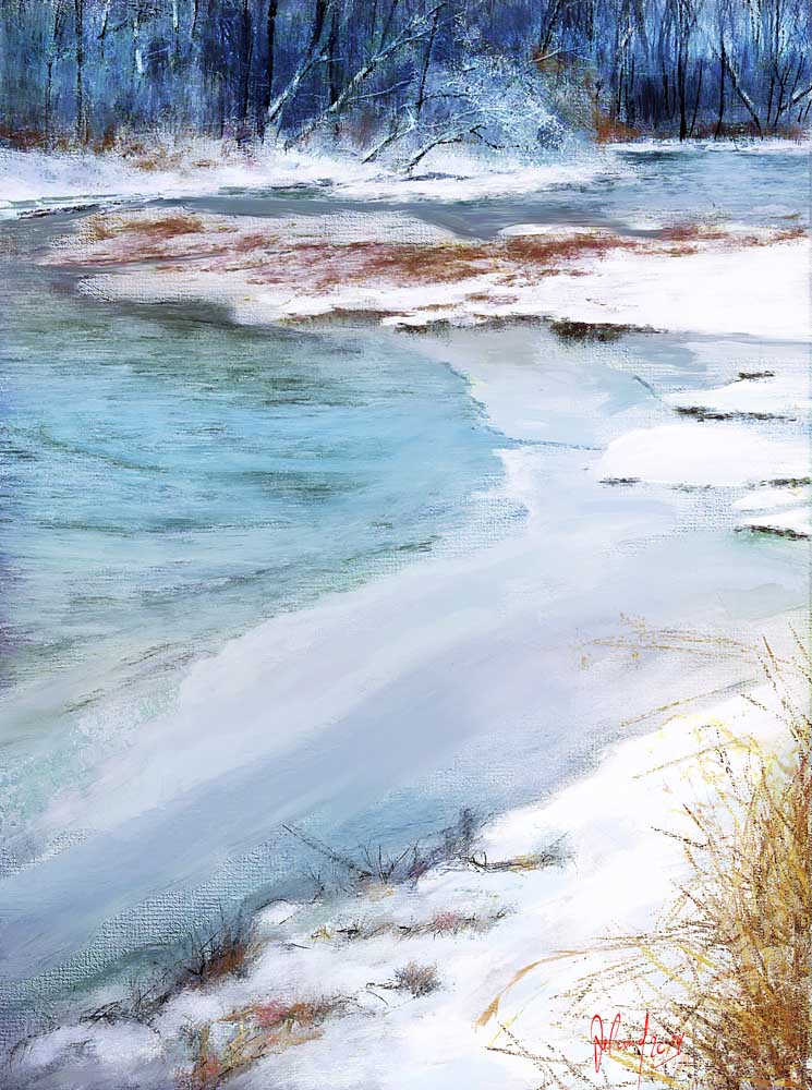 Icy landscape from Georg Ireland