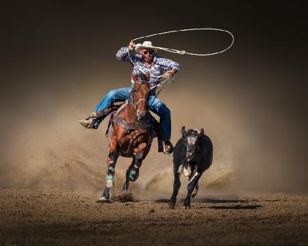 Cattle Roping