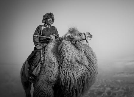 Farmer and His Camel