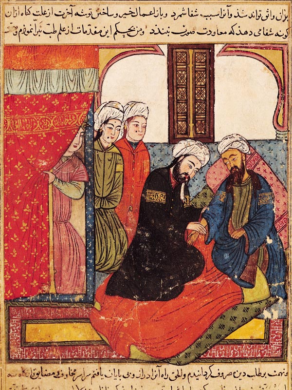 F.111 A Medical Consultation, from 'The Book of Kalila and Dimna' from 'The Fables of Bidpay' from Islamic School