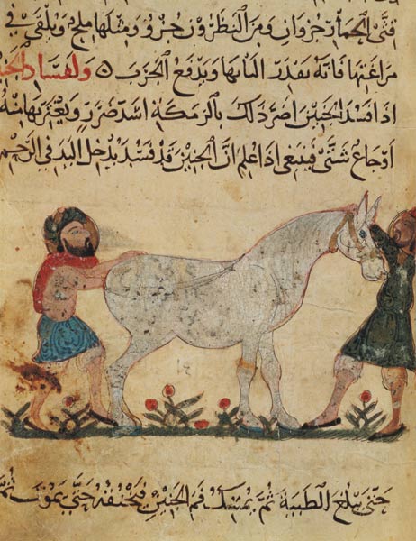 A veterinarian helping a mare to give birth, illustration from the 'Book of Farriery' by Ahmed ibn a from Islamic School