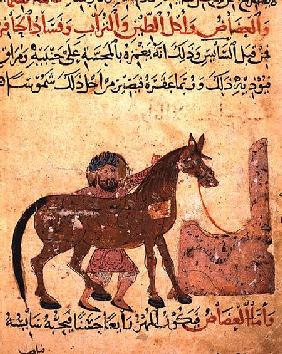 Caring for the horse, illustration from the 'Book of Farriery' by Ahmed ibn al-Husayn ibn al-Ahnaf