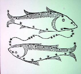 Pisces (the Fishes) an illustration from the 'Poeticon Astronomicon' by C.J. Hyginus, Venice