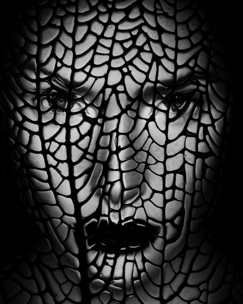 Face Abstract from Ivan Lesica