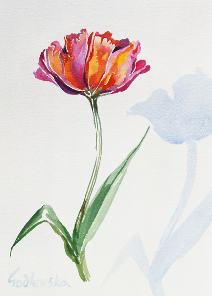 Tulip, 1998 (w/c on paper) (see also 124446 & 124448)  from Izabella  Godlewska de Aranda