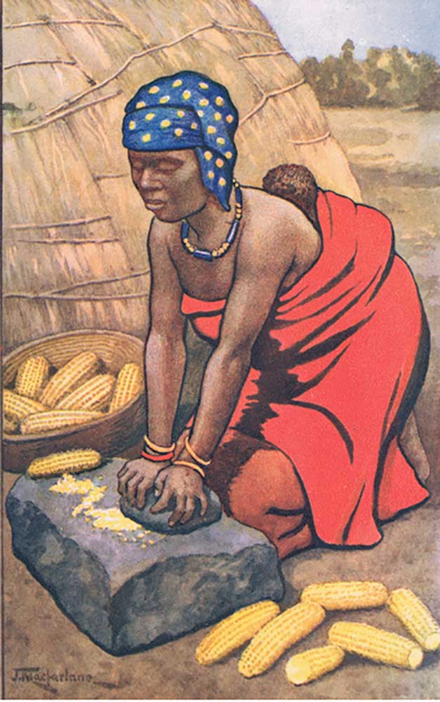 Woman grinding mealies, from MacMillan school posters, c.1950-60s from J. Macfarlane