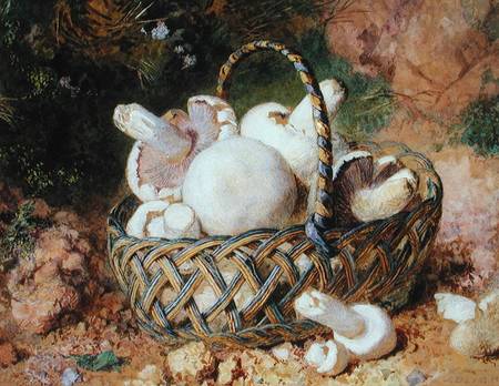 A Basket of Mushrooms from Jabez Bligh