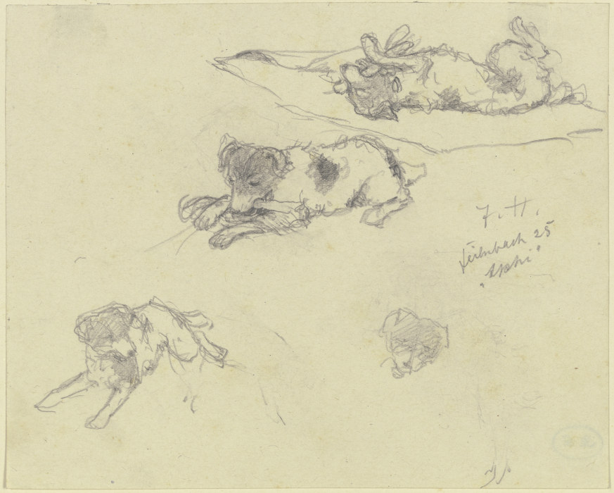 Three dog studies from Jacob Happ