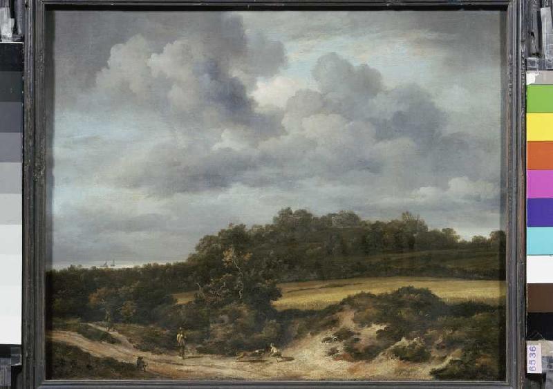 The cornfield. from Jacob Isaacksz van Ruisdael