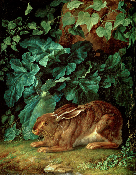 A Hare in Undergrowth from Jacob Philipp Hackert