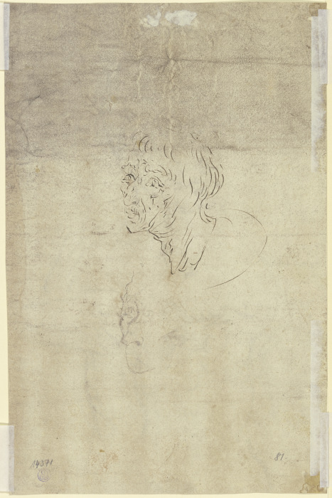 Zwei Skizzen des Kopfes eines alten Mannes from Jacques de Gheyn II