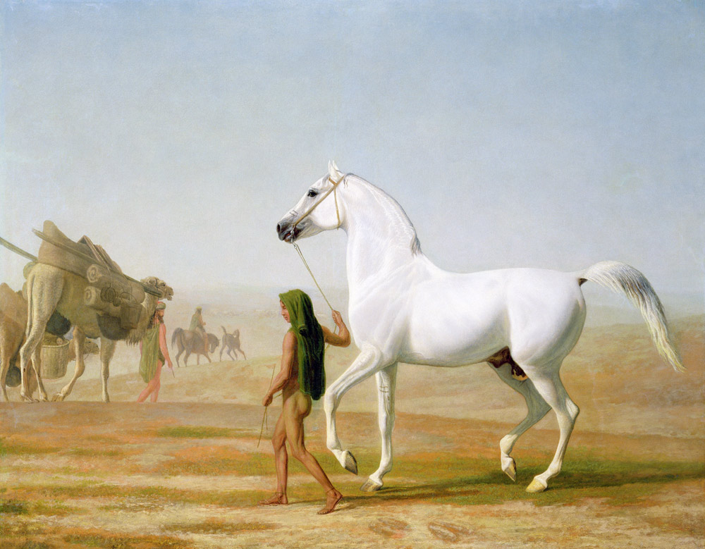 The Wellesley Grey Arabian Led through the Desert from Jacques-Laurent Agasse