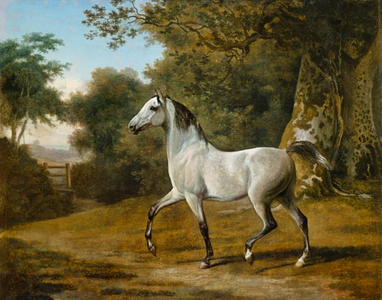 Grey Arabian stallion in a woodland landscape from Jacques-Laurent Agasse