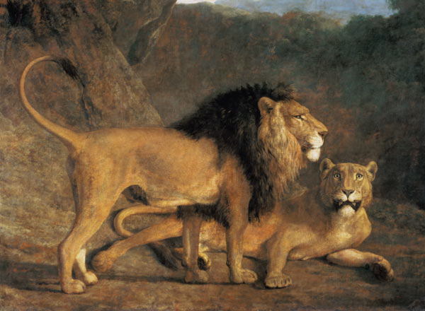 Lion and lioness in the Exeter Menagerie from Jacques-Laurent Agasse
